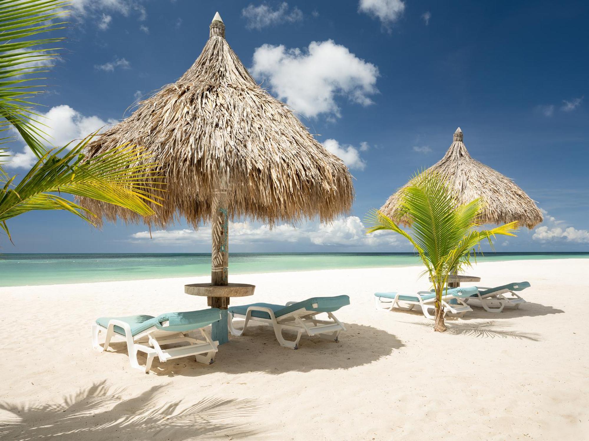 Boardwalk Boutique Hotel Aruba - Adults Only Palm Beach Eksteriør billede